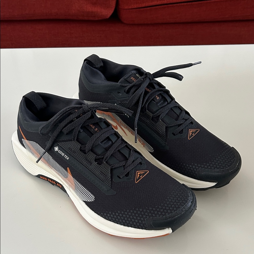 Nike Pegasus Gore Tex Trail 5 Running Shoe